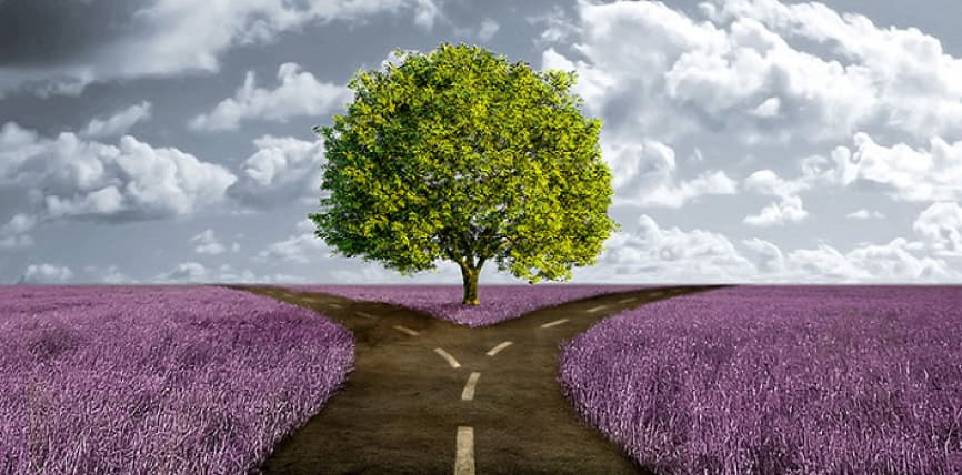 cartomanzia e il destino